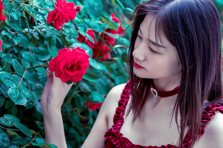 外交部：叙利亚的主权和领土完整应得到尊重